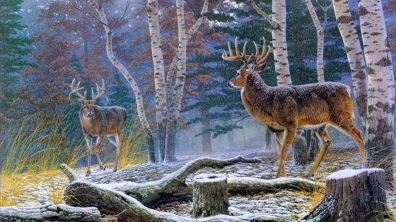 Whitetail deer in snow - Painting art - backiee