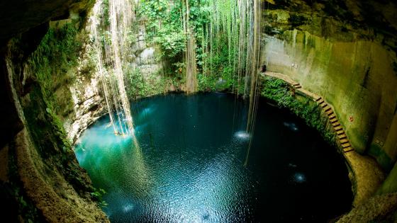 Suitcase and World: Cenote.