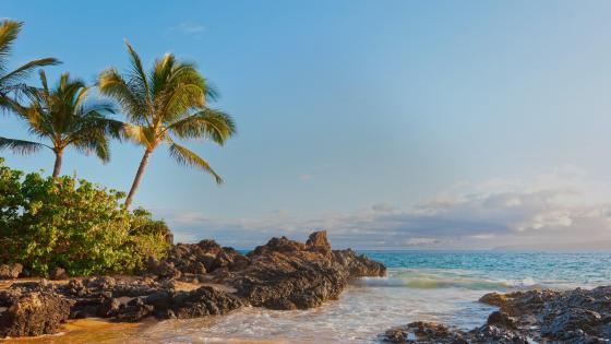 Maui wallpapers - backiee