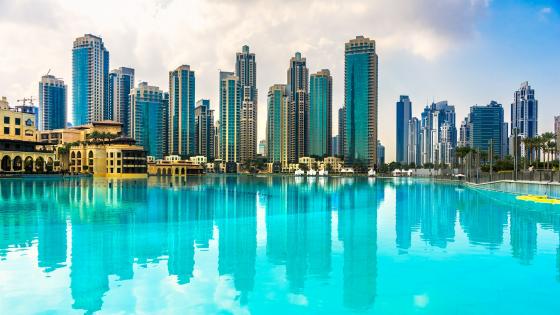 HD wallpaper: dubai, city lights, 8k, uae, downtown, water, united arab  emirates | Wallpaper Flare