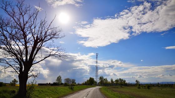 Picture wallpapers - backie