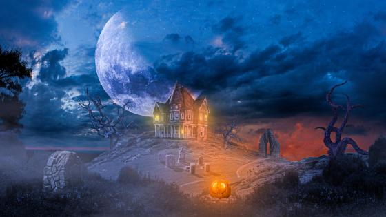 Designing A Spooky Halloween With 3d Rendered Forest Pumpkins And A Black  Cat Background, Halloween Night, Haunted, Pumpkin Background Background  Image And Wallpaper for Free Download