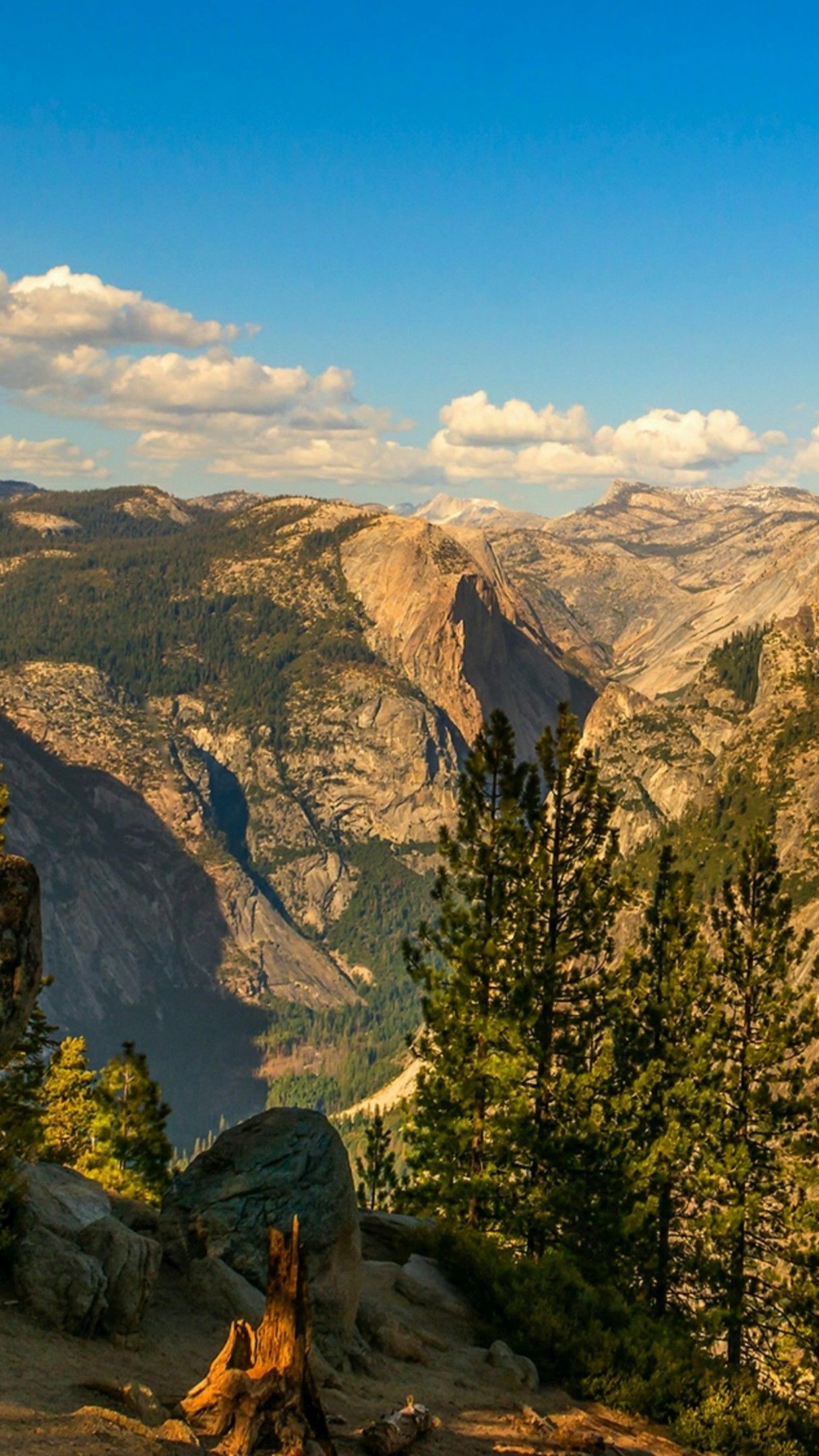 Yosemite National Park Half Dome Wallpaper Backiee