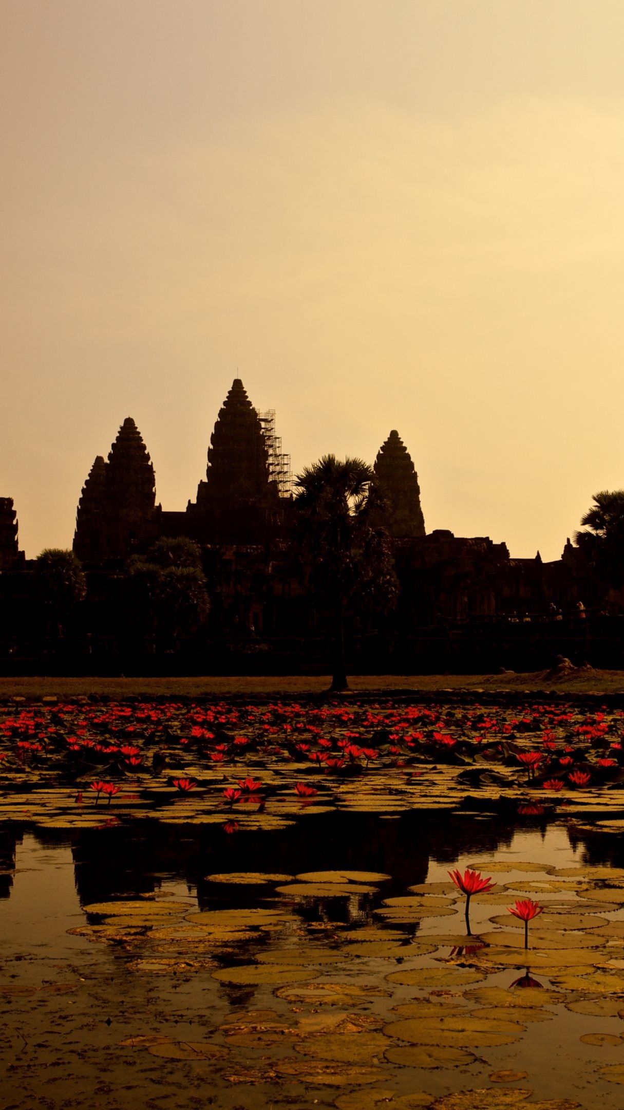 Sunset Wallpaper Angkor Wat