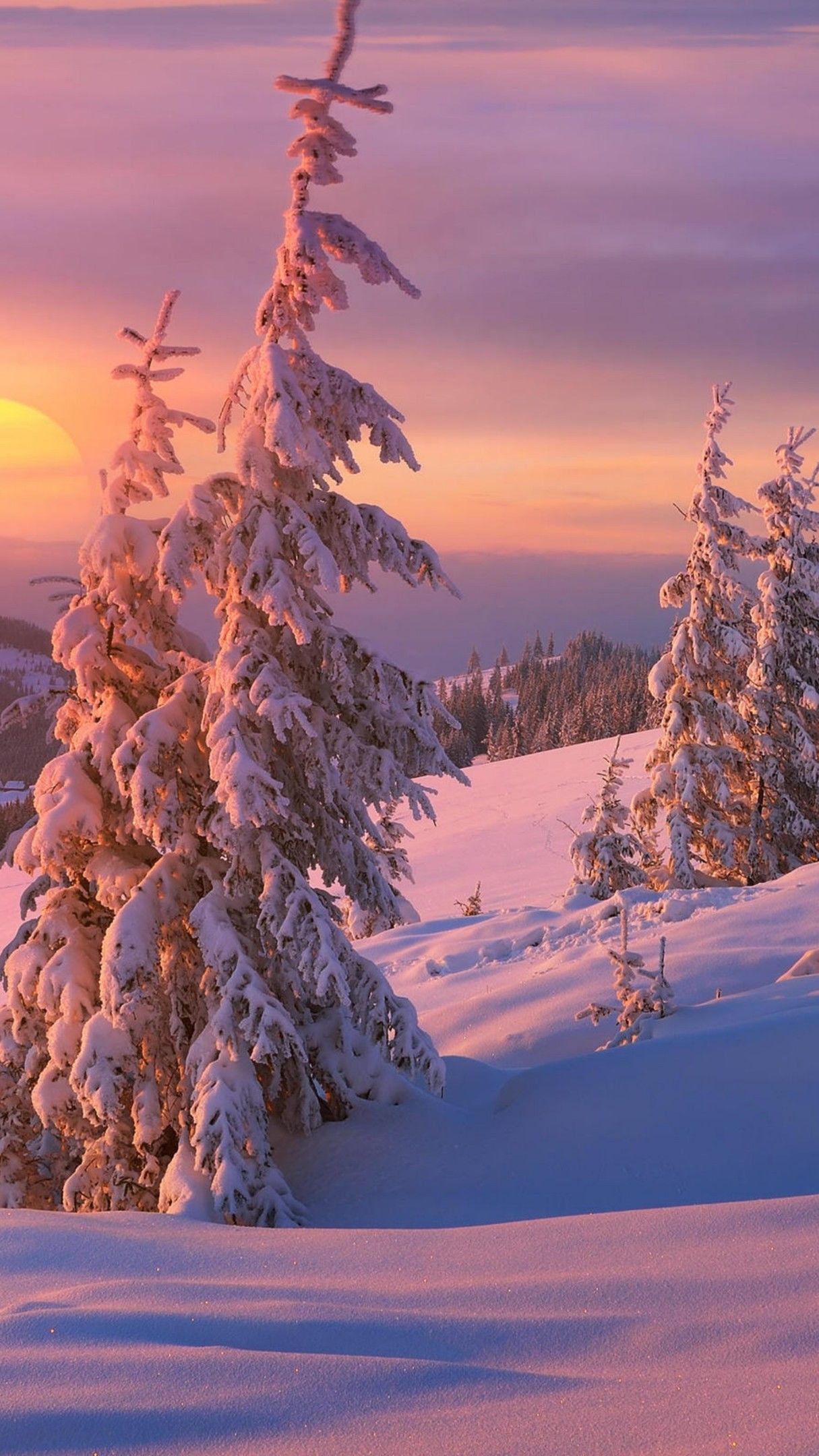 Winter Sunrise - Backiee