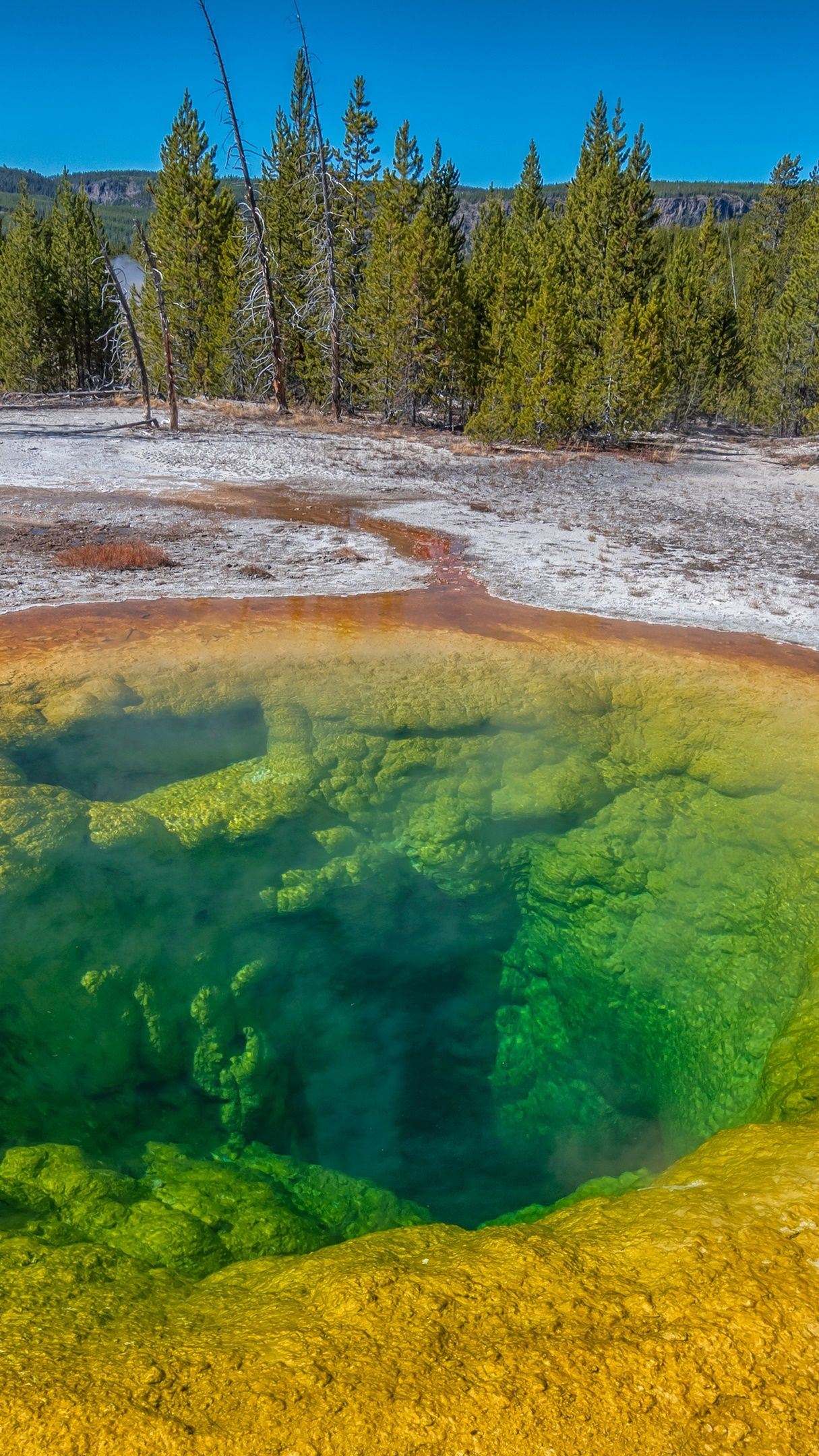 Morning Glory Pool (Yellowstone Upper Geyser Basin) - backiee