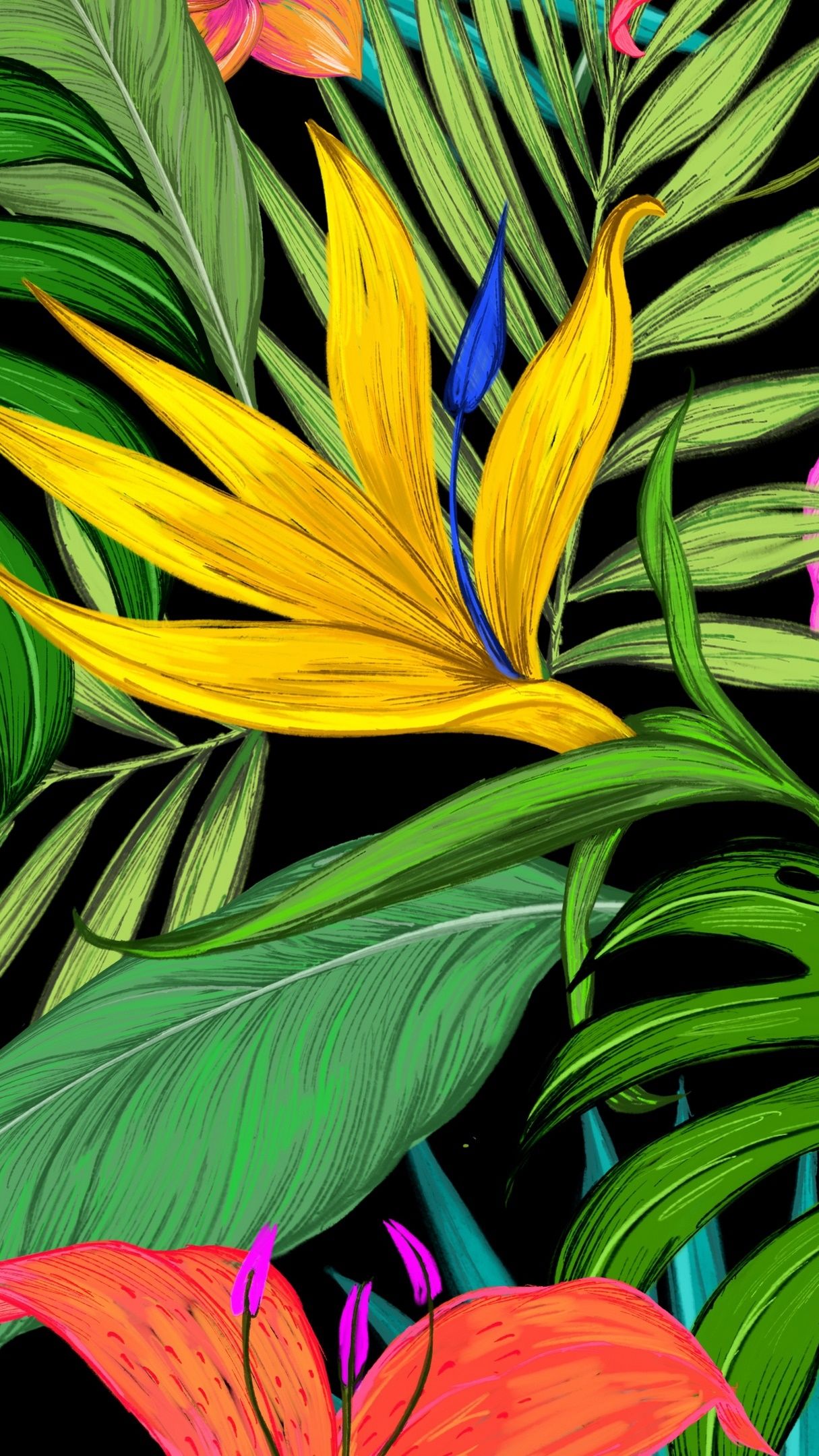 Flower drawing wallpaper - backiee