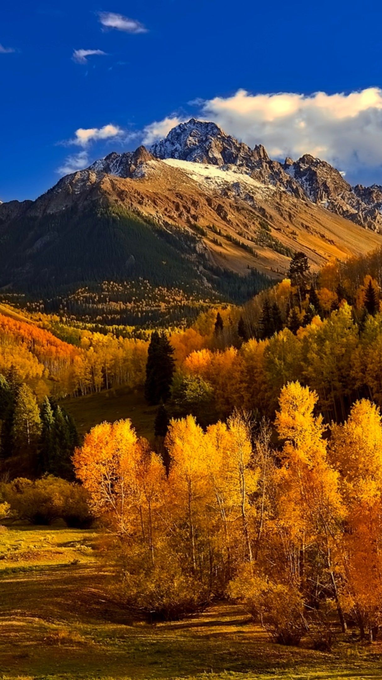 Sunny autumn wallpaper - backiee