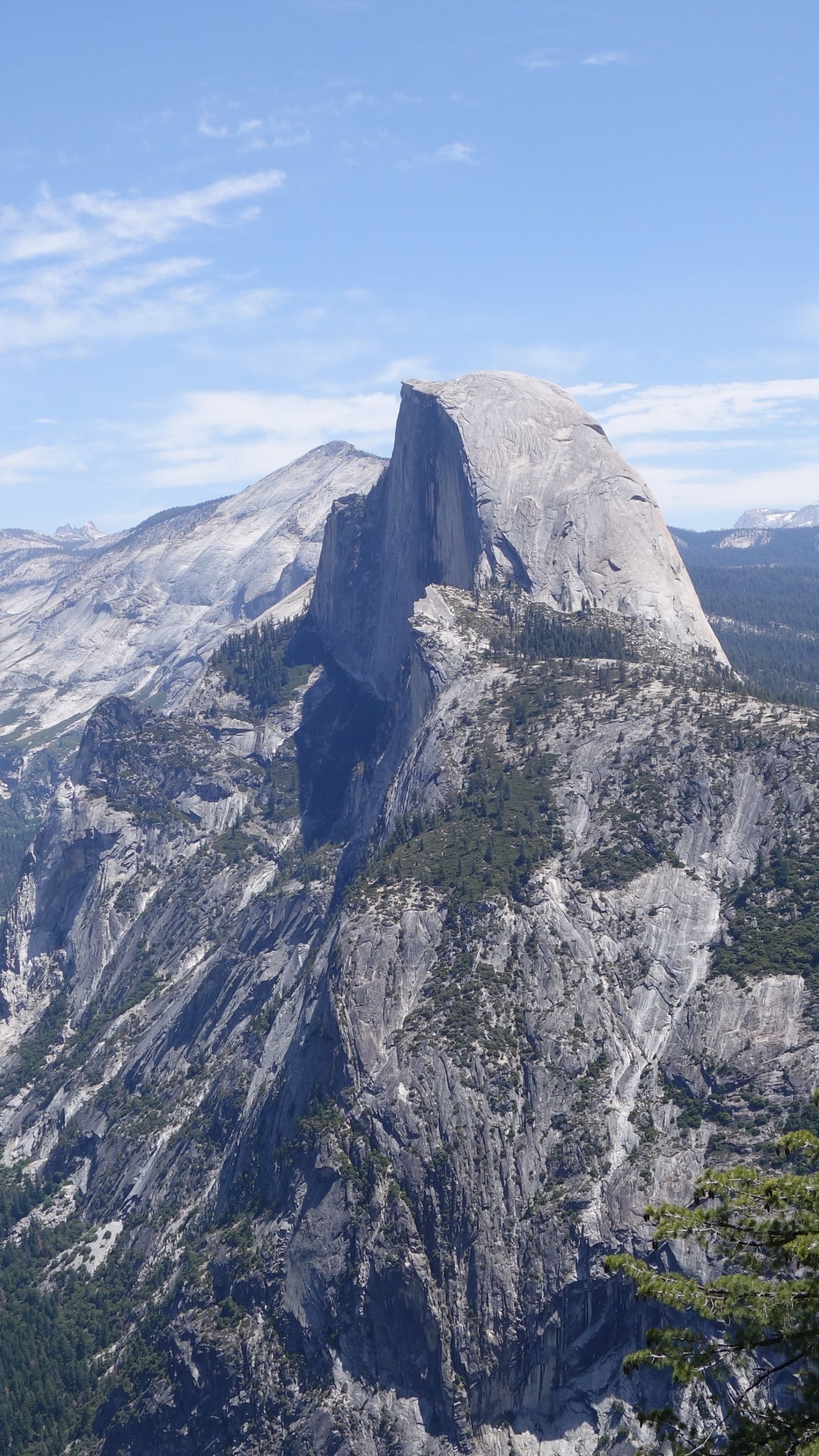 Half Dome - backiee