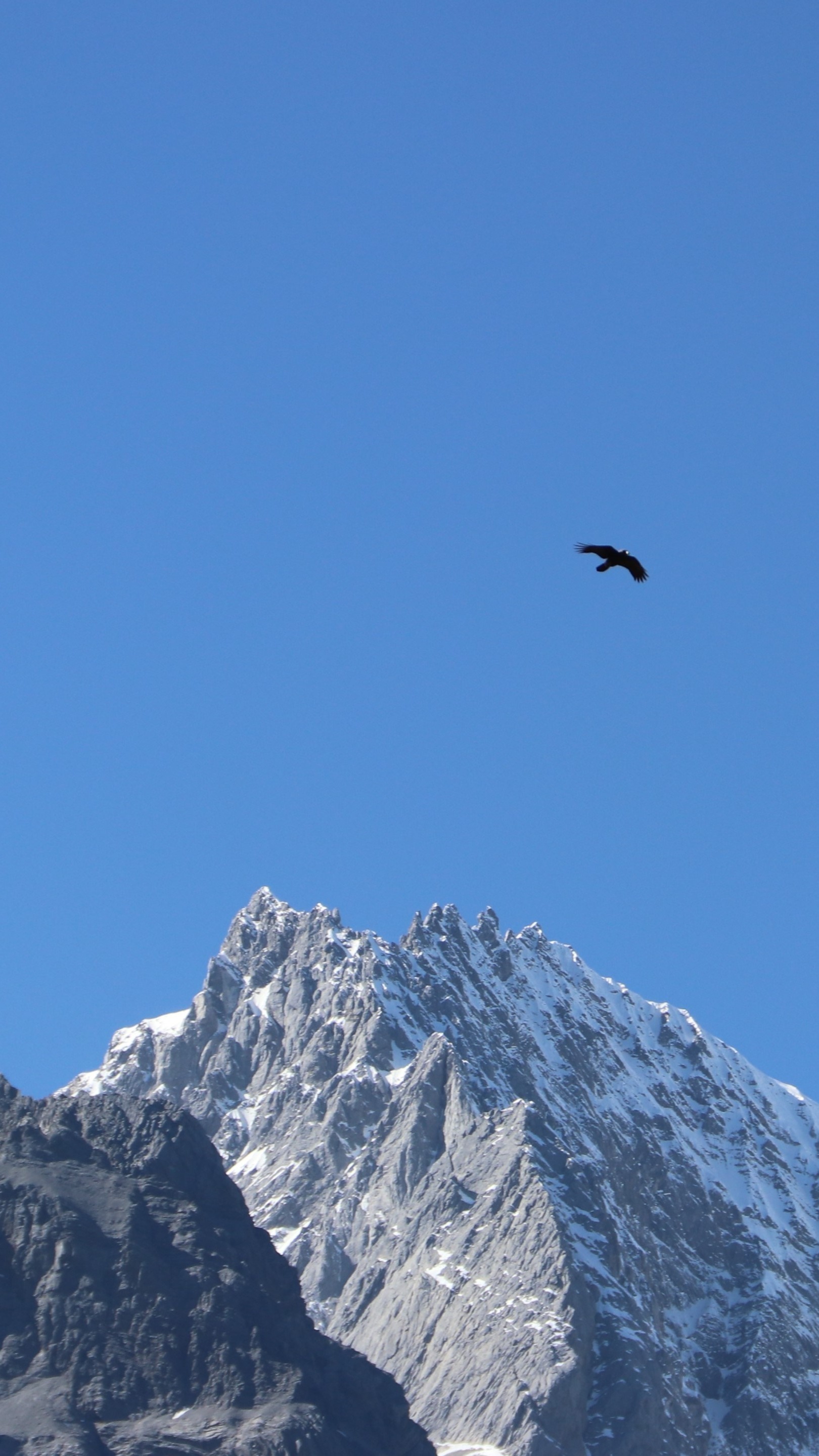 Jade Dragon Snow Mountain wallpaper - backiee