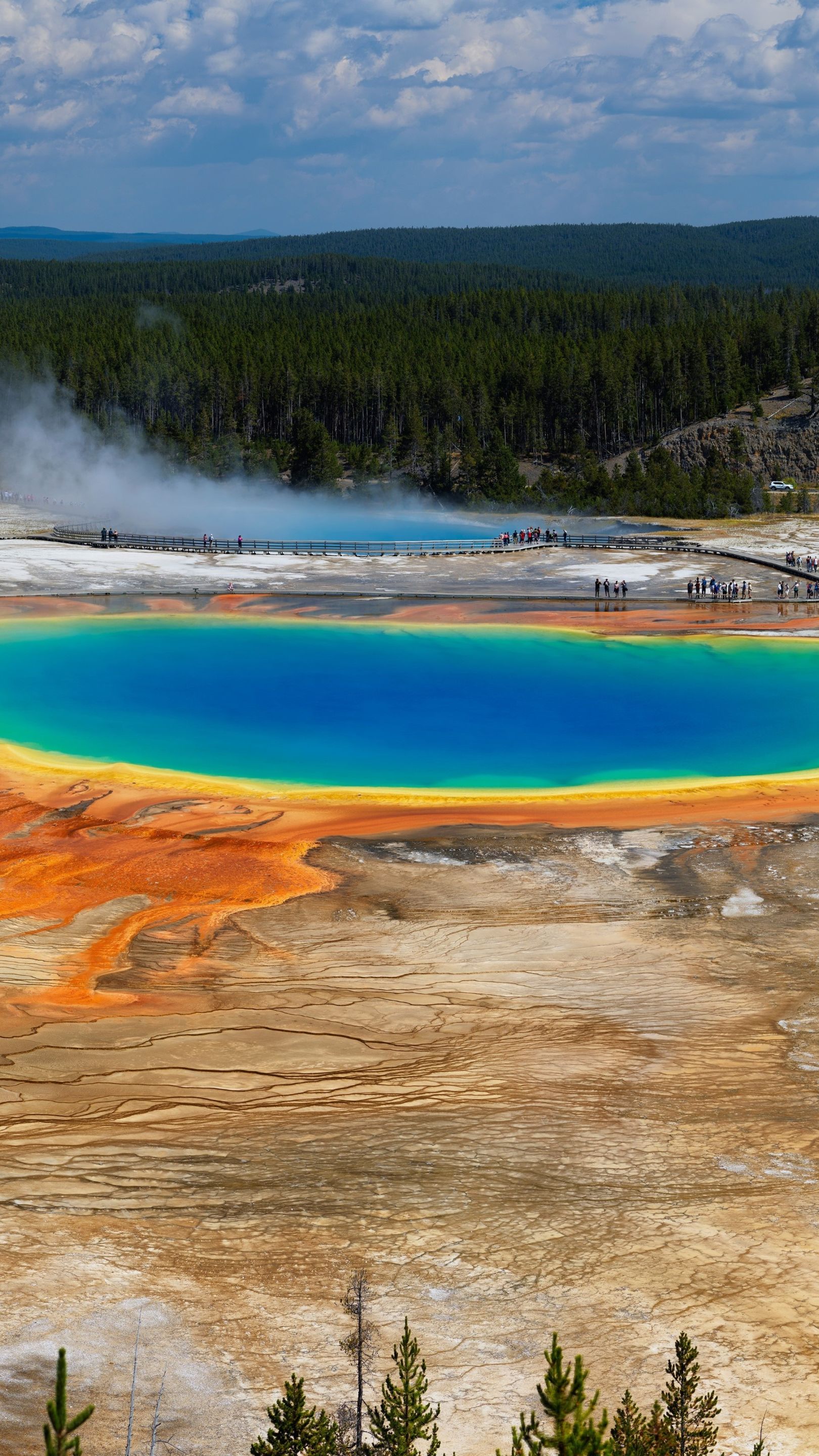 Grand Prismatic Spring, Yellowstone - backiee