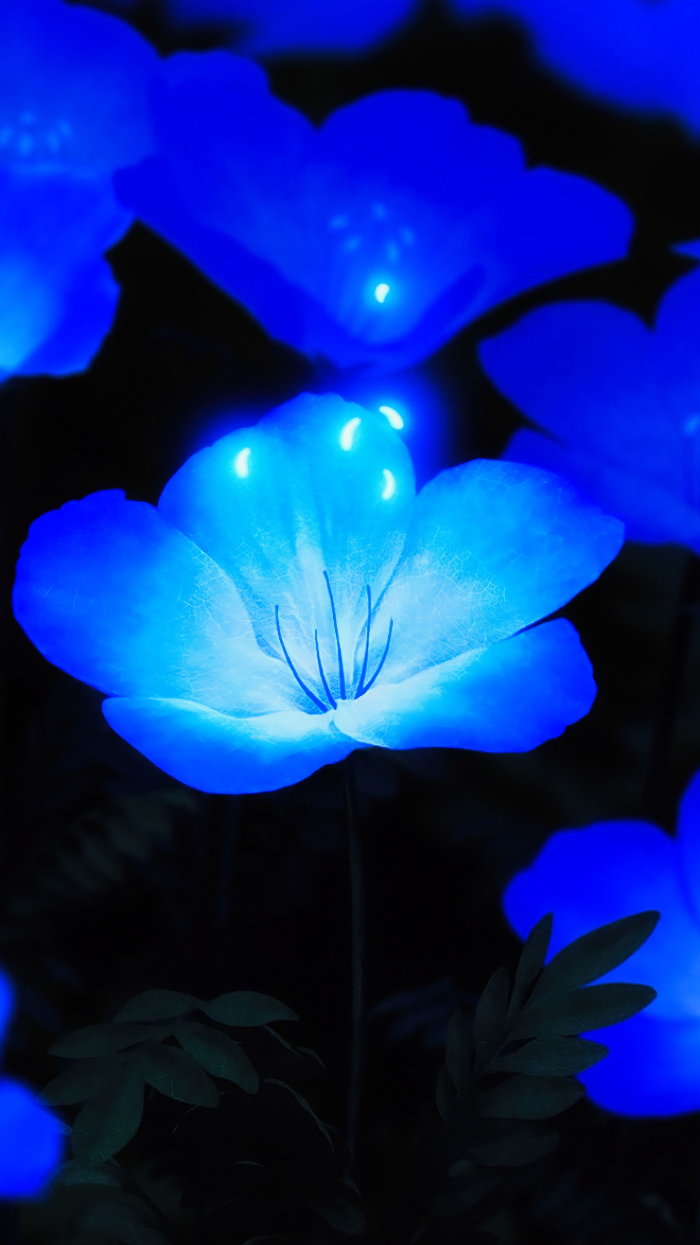 Включи голубой. Светящиеся растения. Красивый синий цвет. Люминесцентные цветы. Ярко синие цветы.