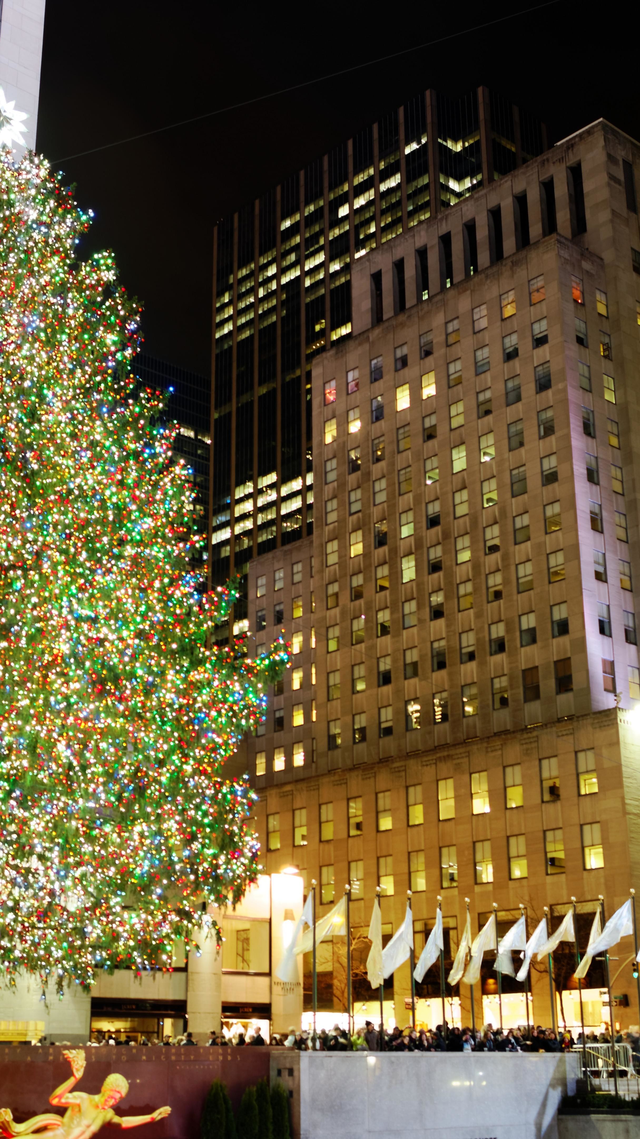 2016 Rockefeller Center Christmas Tree - backiee