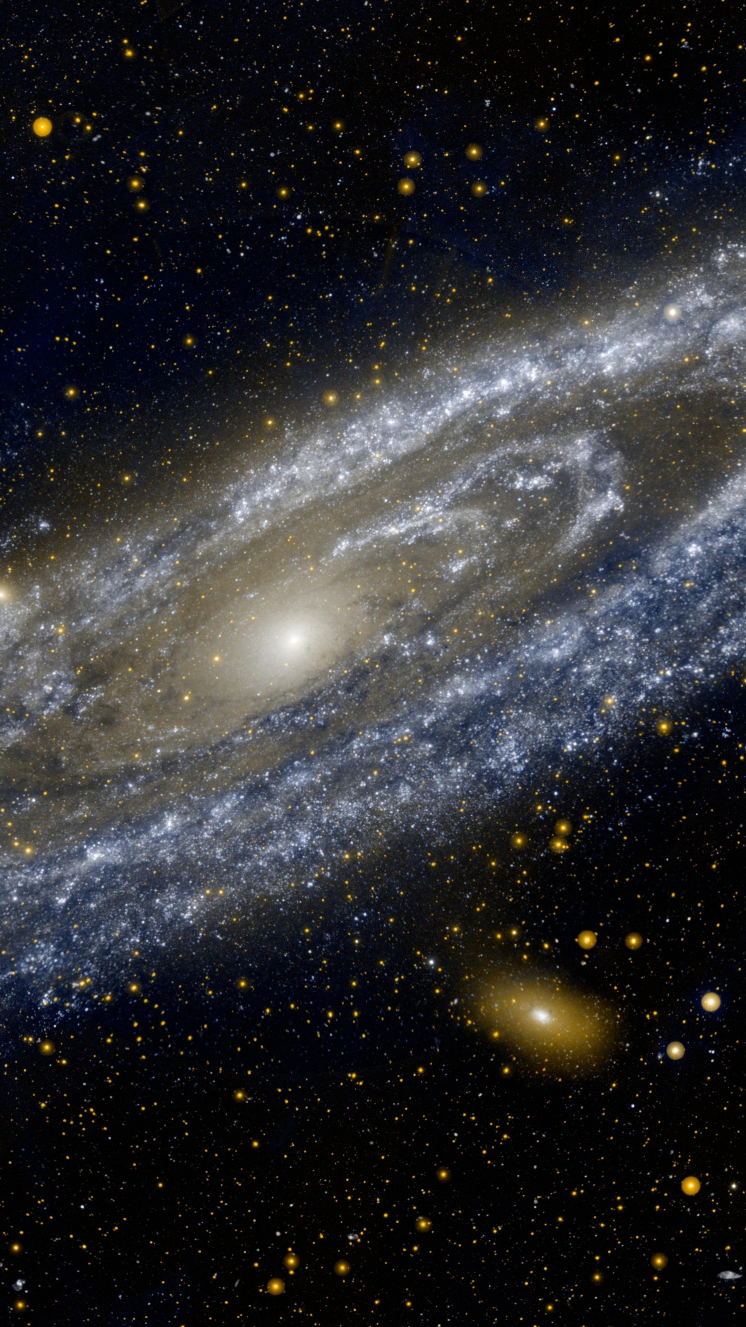 GALEX Image of the Andromeda Galaxy - backiee