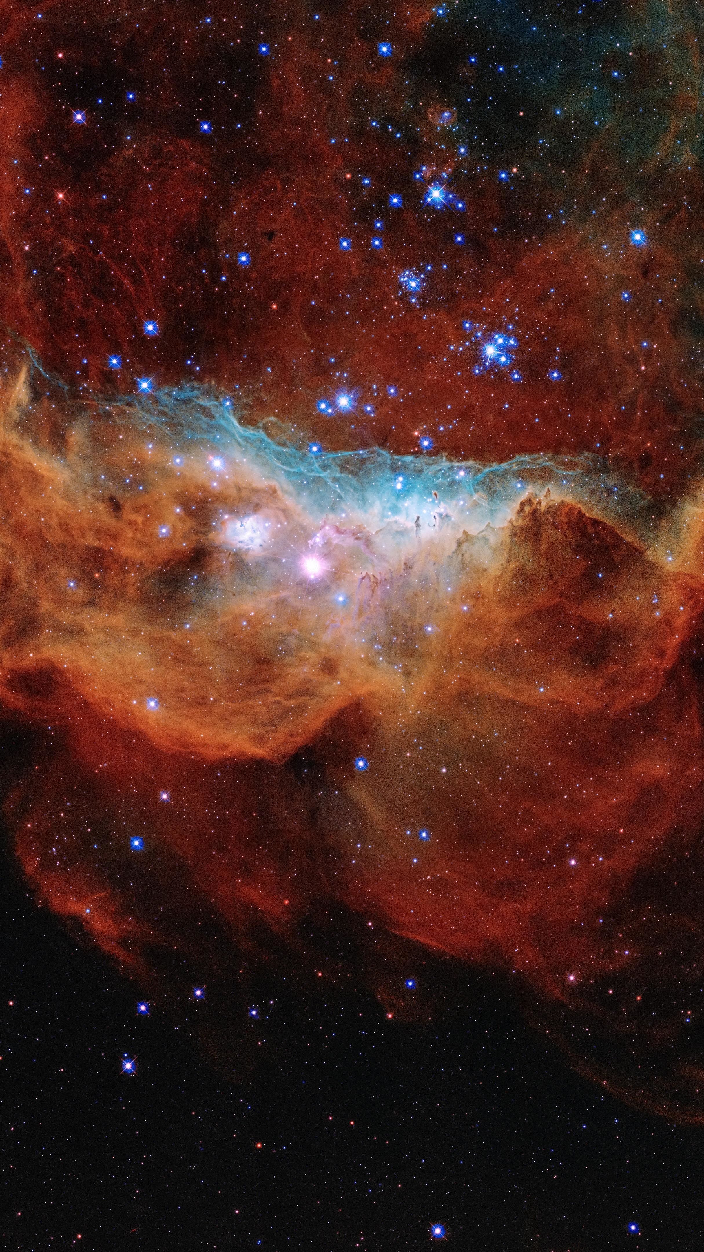 Tapestry of Blazing Starbirth: Cosmic Reef (NGC 2014 & NGC 2020) - backiee