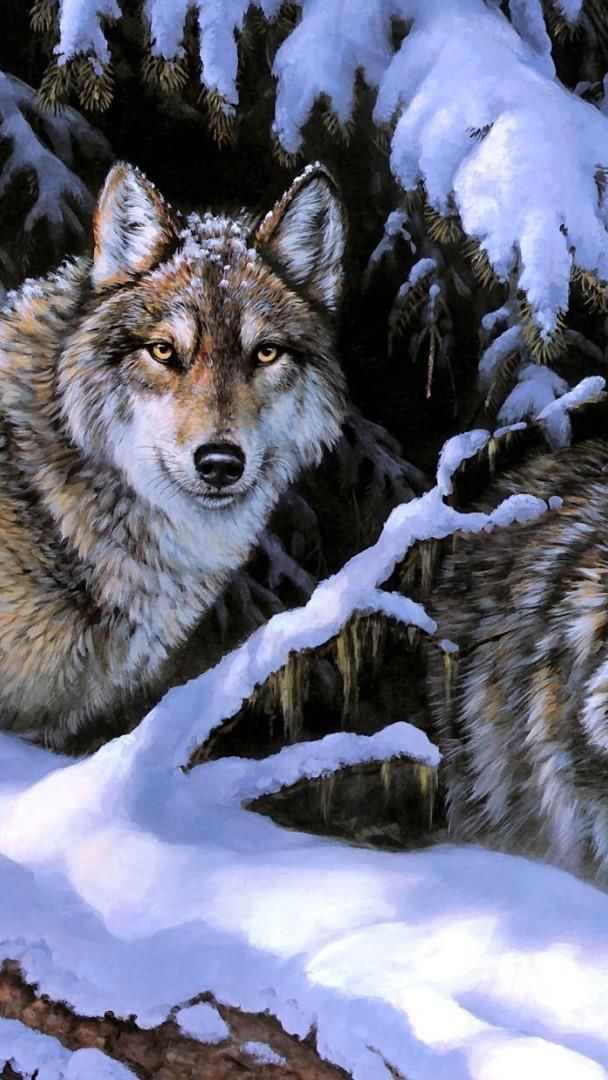 Wolf couple in the snow painting art - backiee