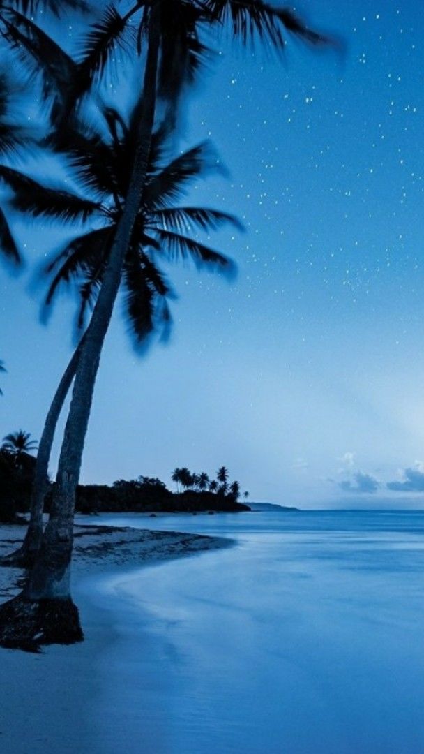 Starry night sky over the beach wallpaper - backiee