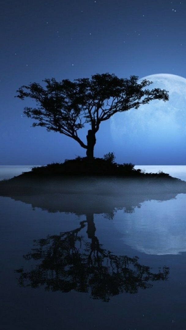 Lone tree with the full moon reflected in the night lake - backiee