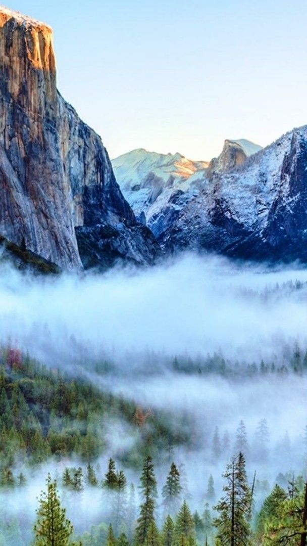 Tunnel View Of Foggy Yosemite Valley Yosemite National Park Backiee