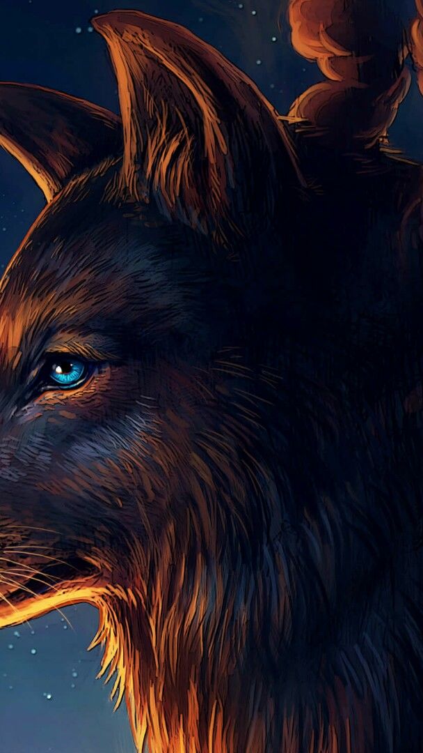 Wolf with starry sky - Fantasy art wallpaper - backiee