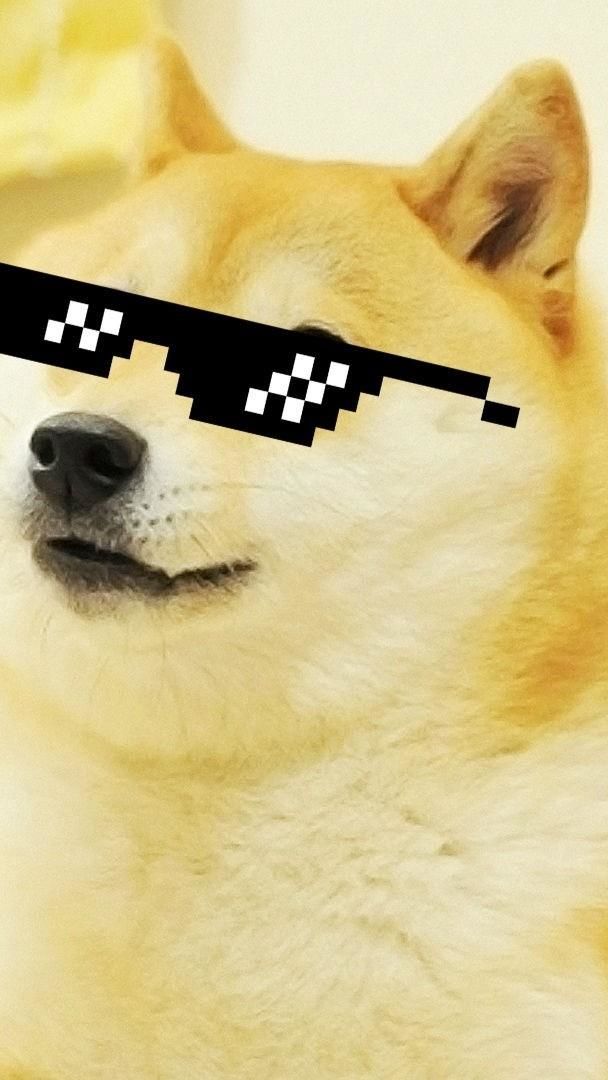 Doge -Deal with it - backiee