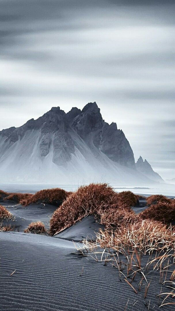 Stokksnes peninsula (Vatnajokull National Park) - backiee