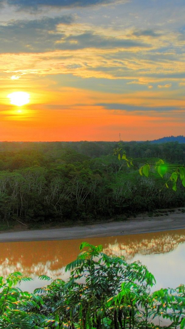 Amazon River - backiee