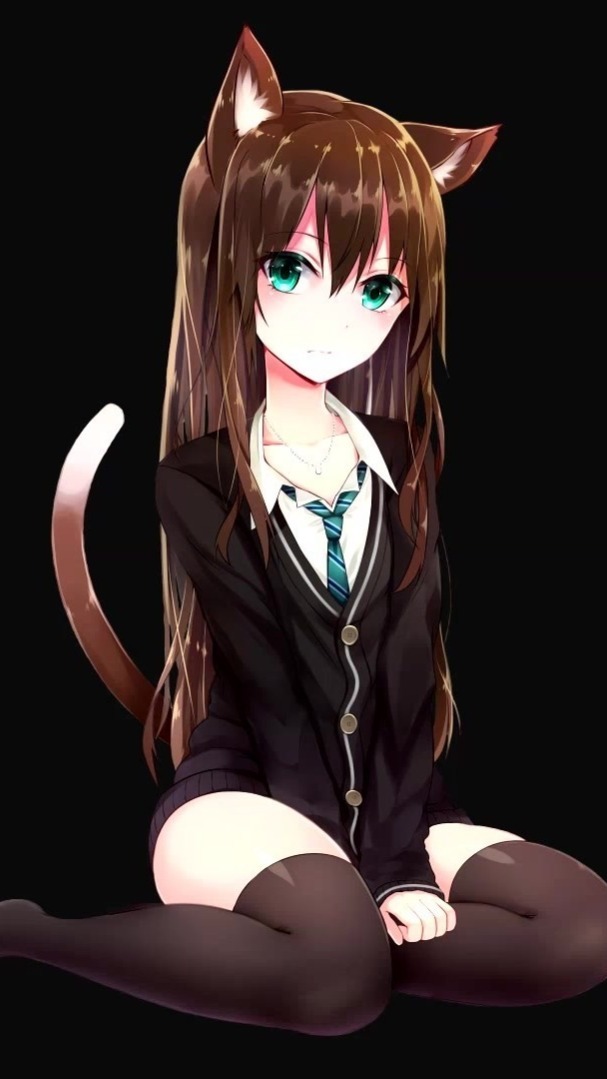 Anime Cat Girl Hd Wallpaper - Backiee - Free Ultra Hd -3398