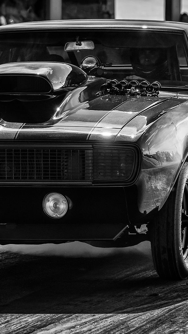 Chevrolet Camaro black and white photo - backiee