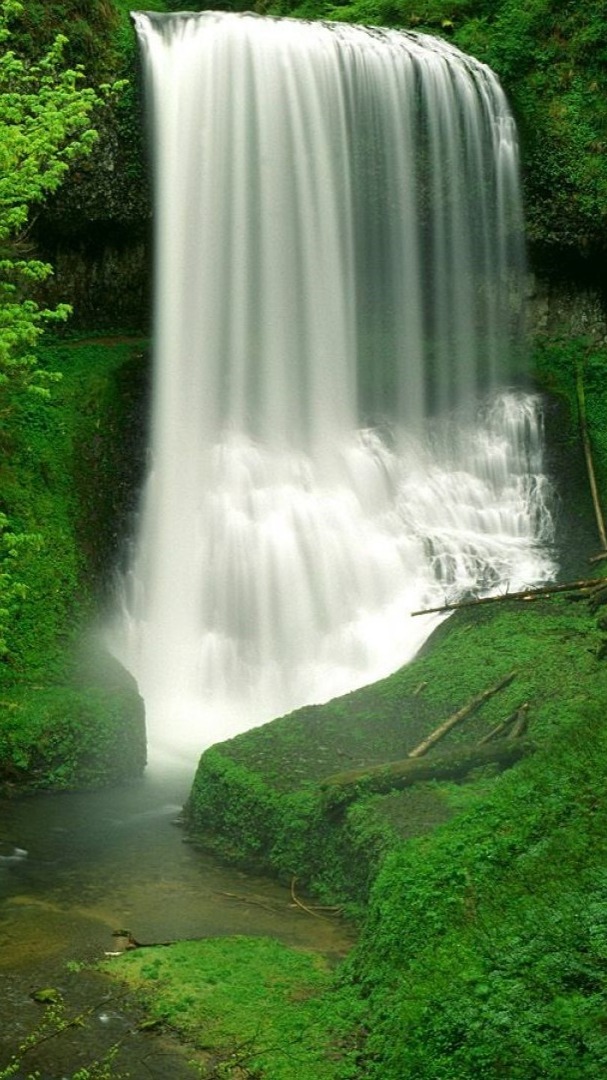 Silver Falls State Park, North Falls - backiee