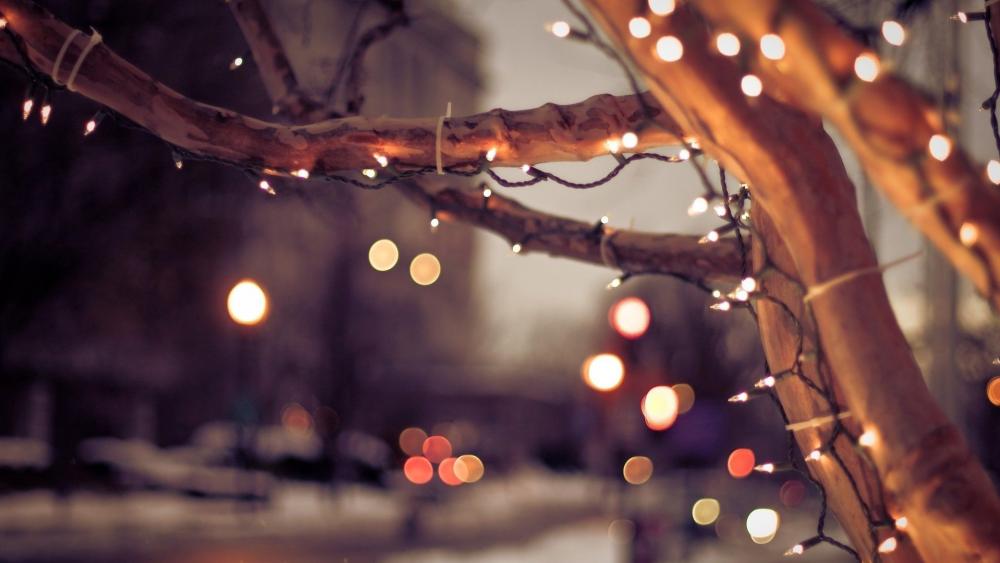 Bokeh tree lights at Christmas wallpaper