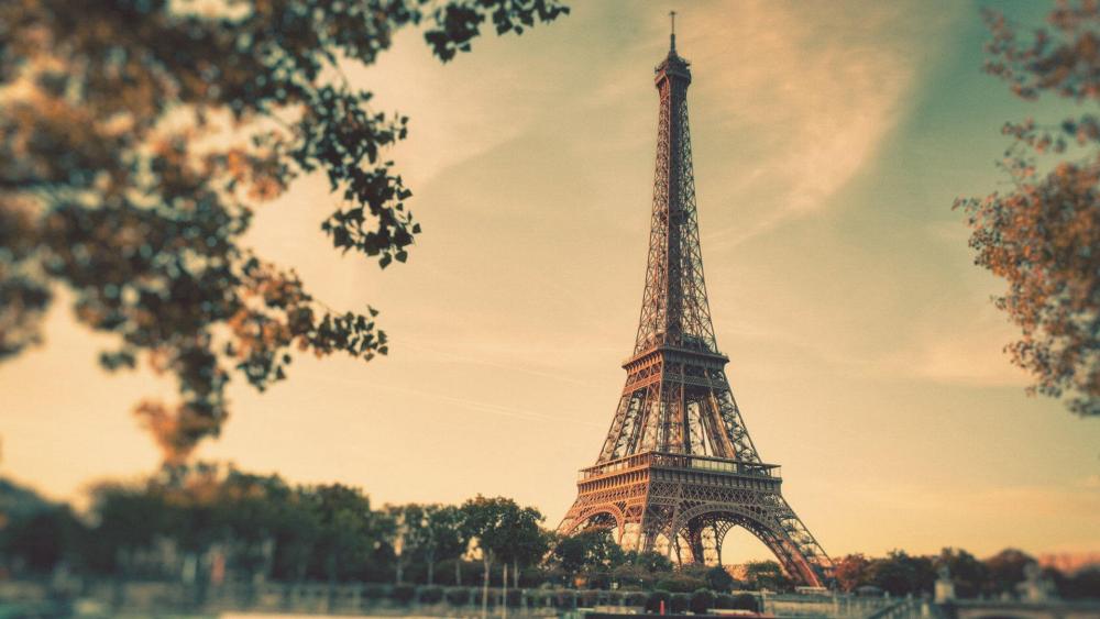 Eiffel Tower in focus wallpaper