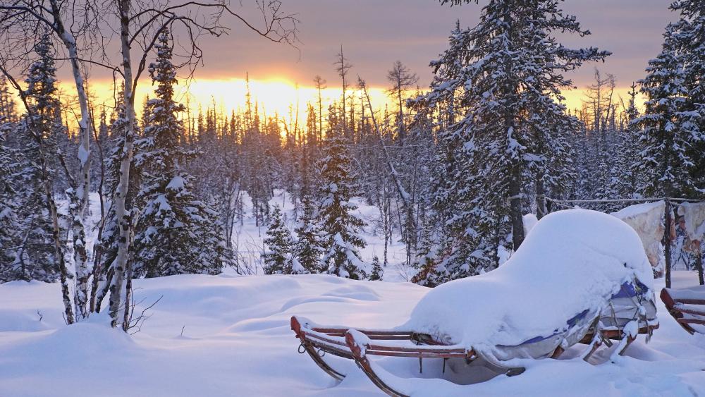 Snowy sleigh wallpaper
