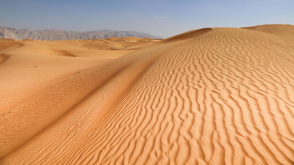Sand Dunes in the Desert of Sharjah wallpaper