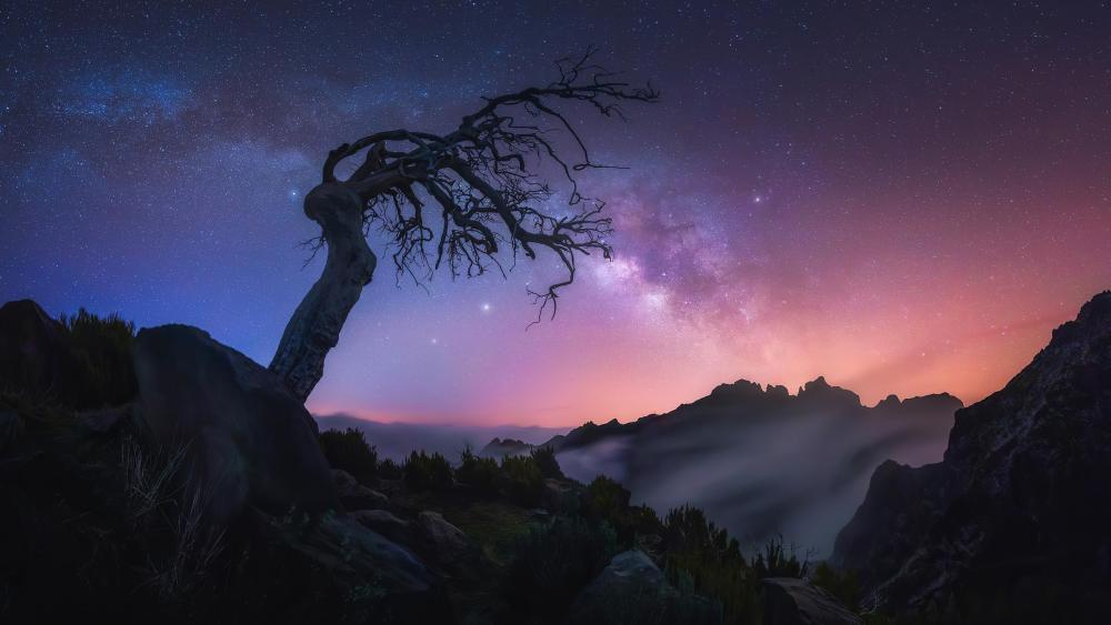 Sunrise Madeira Portugal wallpaper