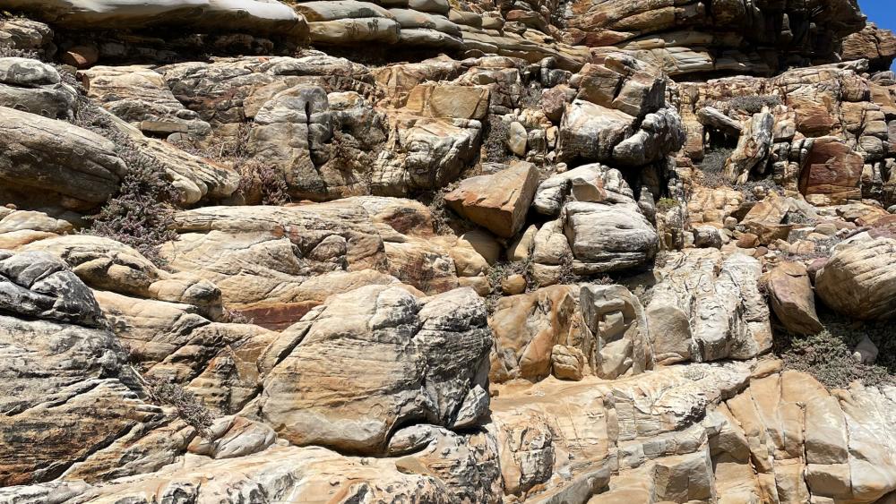 Rocks at Cape of Good Hope wallpaper