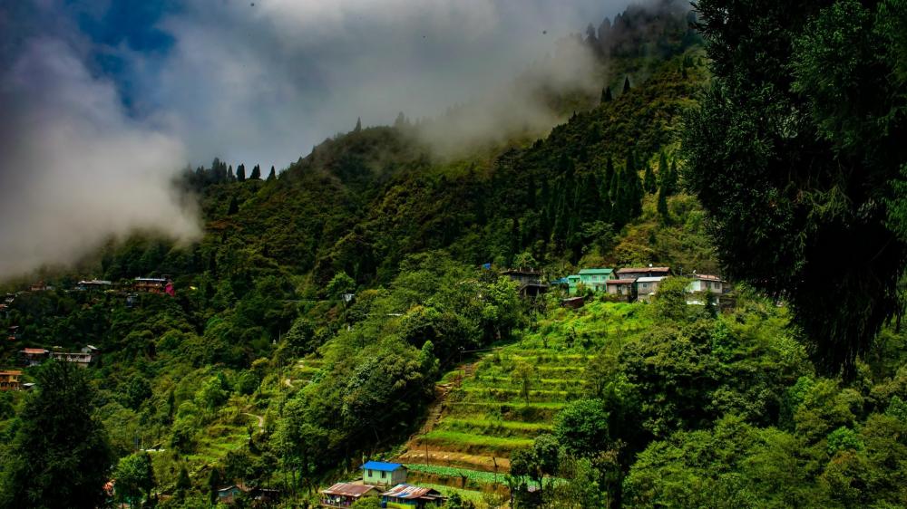 Darjeeling Rock Garden Stock Photos - Free & Royalty-Free Stock Photos from  Dreamstime