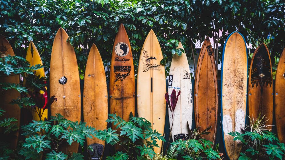 Surfboards wallpaper
