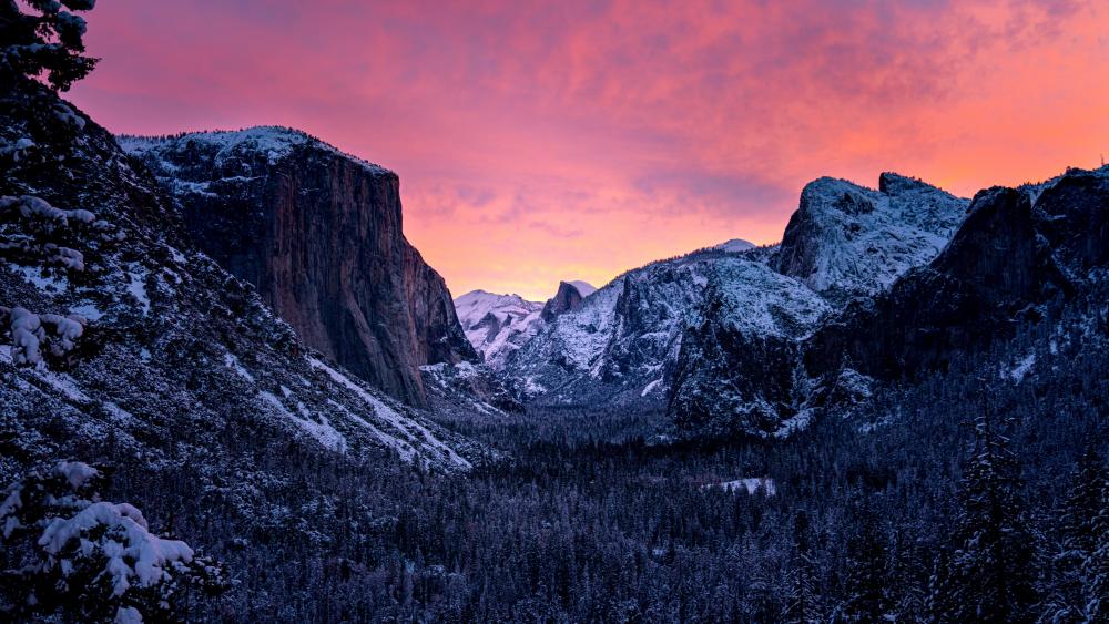 Pink sky above the Yosemite Valley wallpaper