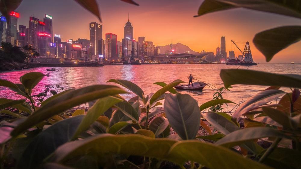 Hong Kong digital art wallpaper