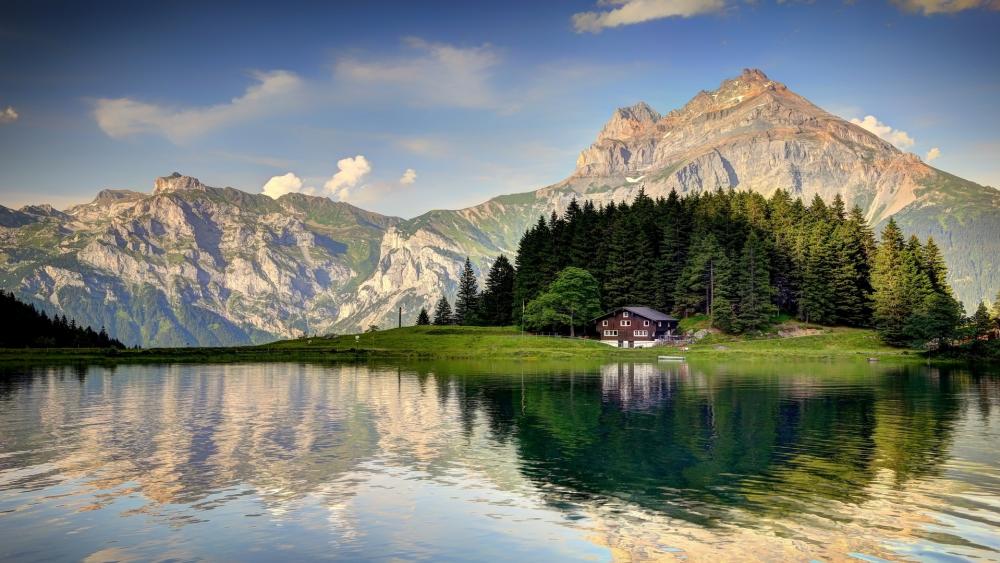 Swiss Alps Backiee Swiss Alps Backiee