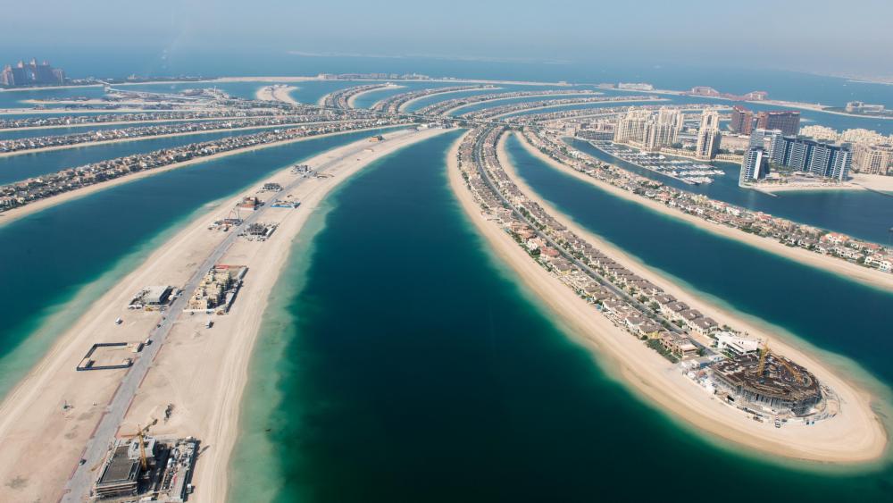 The Palm Jumeirah in Dubai wallpaper - backiee