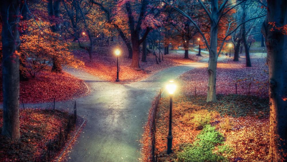 Central Park by night wallpaper