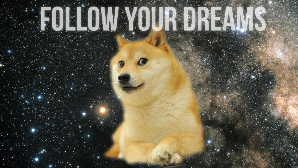 Follow your dreams - Doge Cheems Meme wallpaper