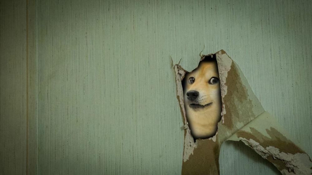 Doge meme wallpaper