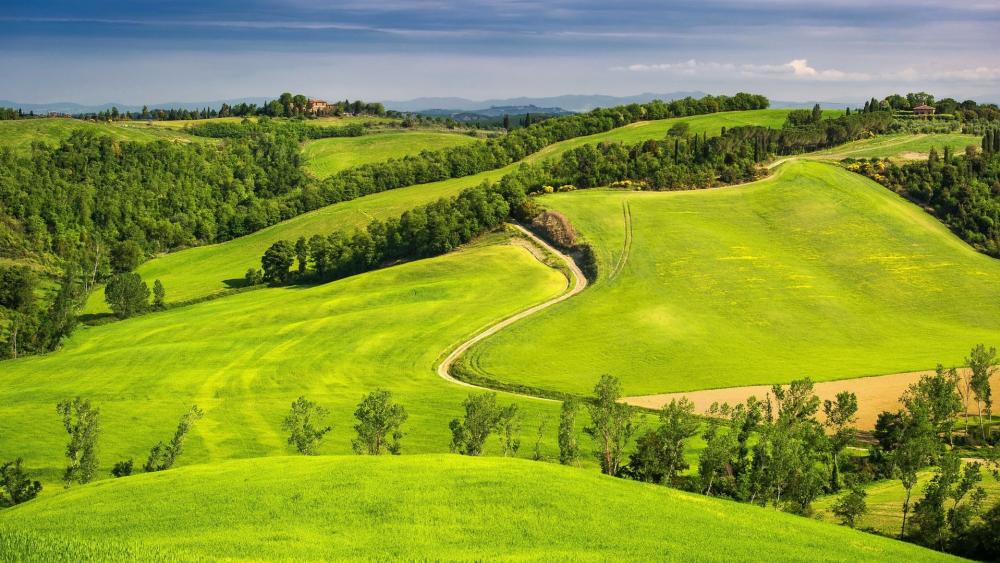Green hill in Tuscany wallpaper