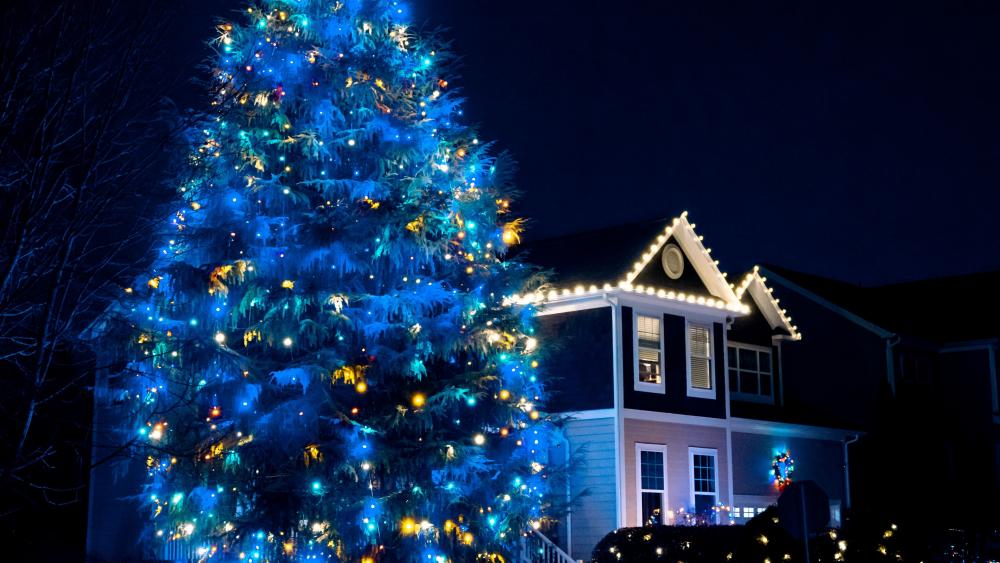Blue Christmas tree wallpaper