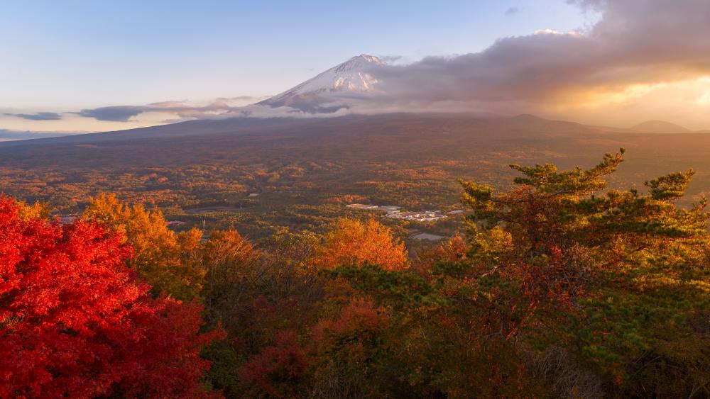 Mt. Fuji from Koyodai mountain peak at fall wallpaper