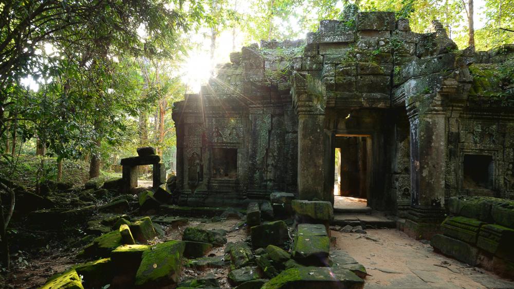 Ruins of Angkor Wat wallpaper