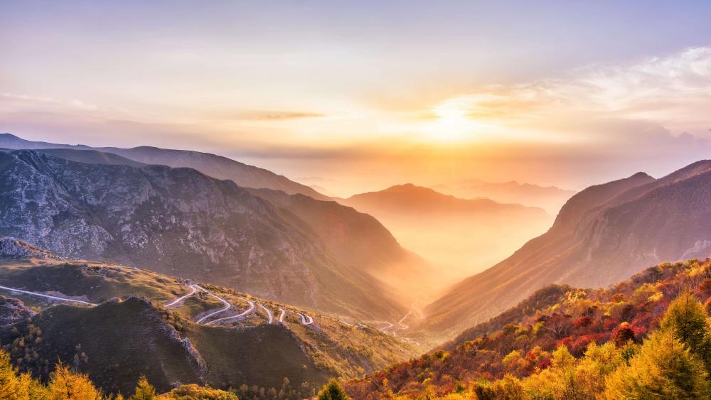 Zhangjiajie Grand Canyon in the sunrise wallpaper